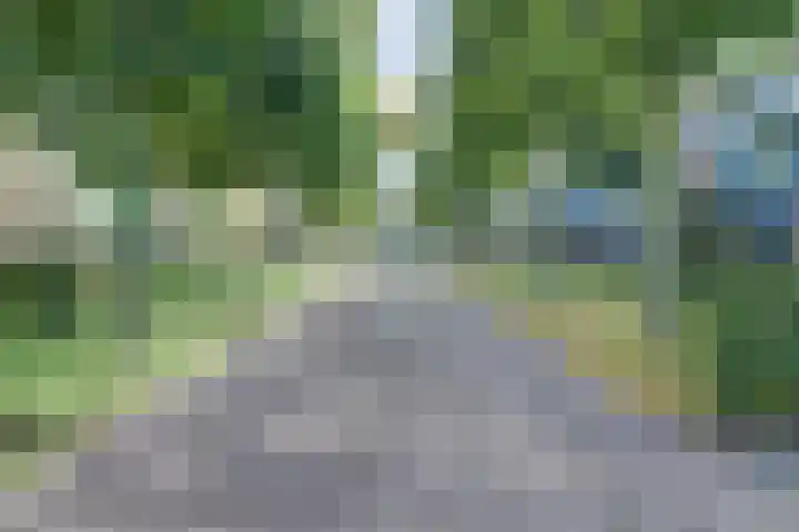 Hendrik Munniklaan 24 Ermelo thumbnail 35