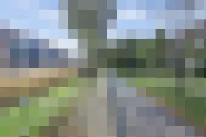 Hendrik Munniklaan 24 Ermelo thumbnail 36