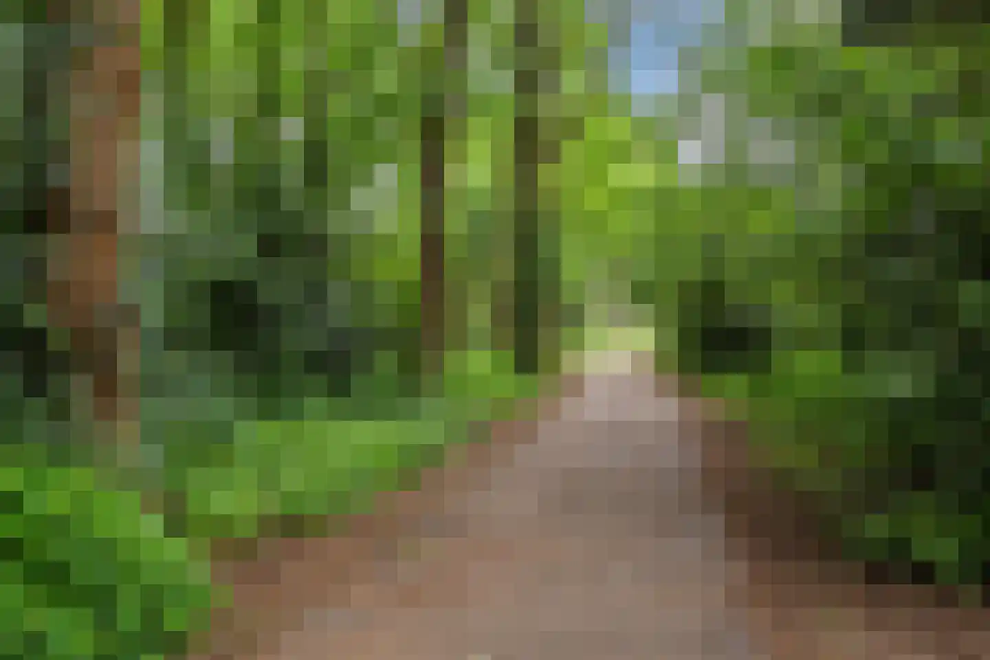 Hendrik Munniklaan 7 Ermelo thumbnail 35