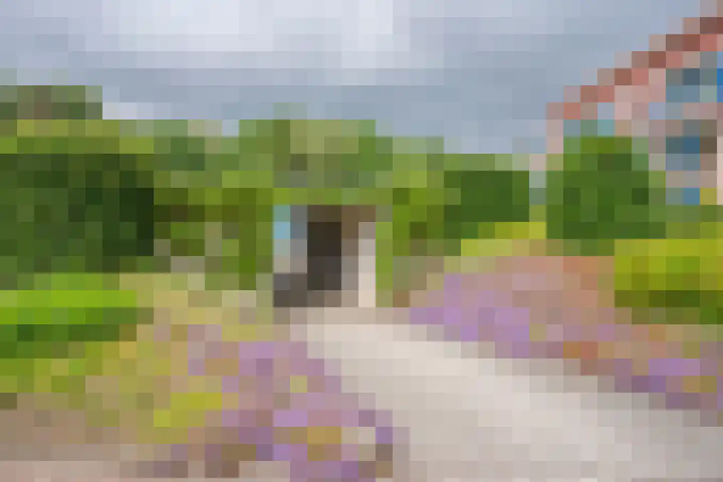 Hendrik Munniklaan 9 Ermelo thumbnail 29