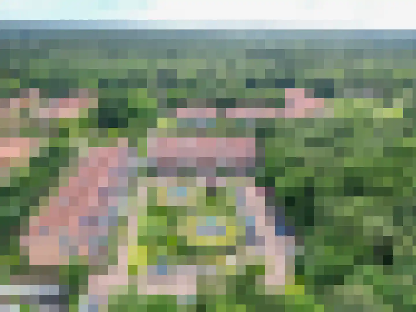 Hendrik Munniklaan 9 Ermelo thumbnail 7