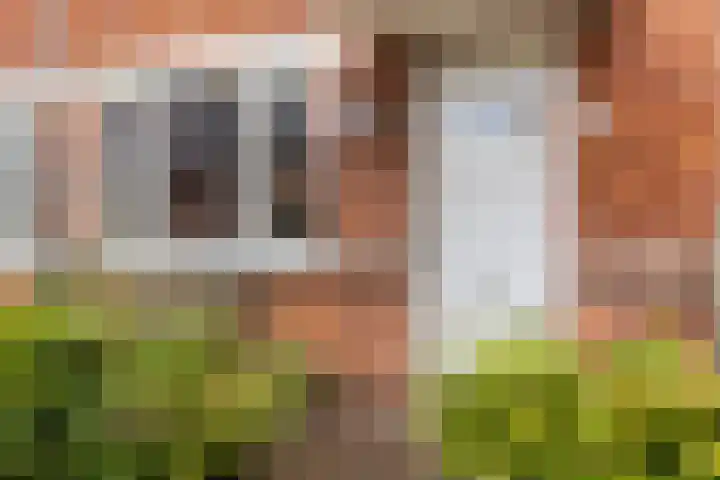 Hendrik Ouwejanstraat 25 Apeldoorn thumbnail 5