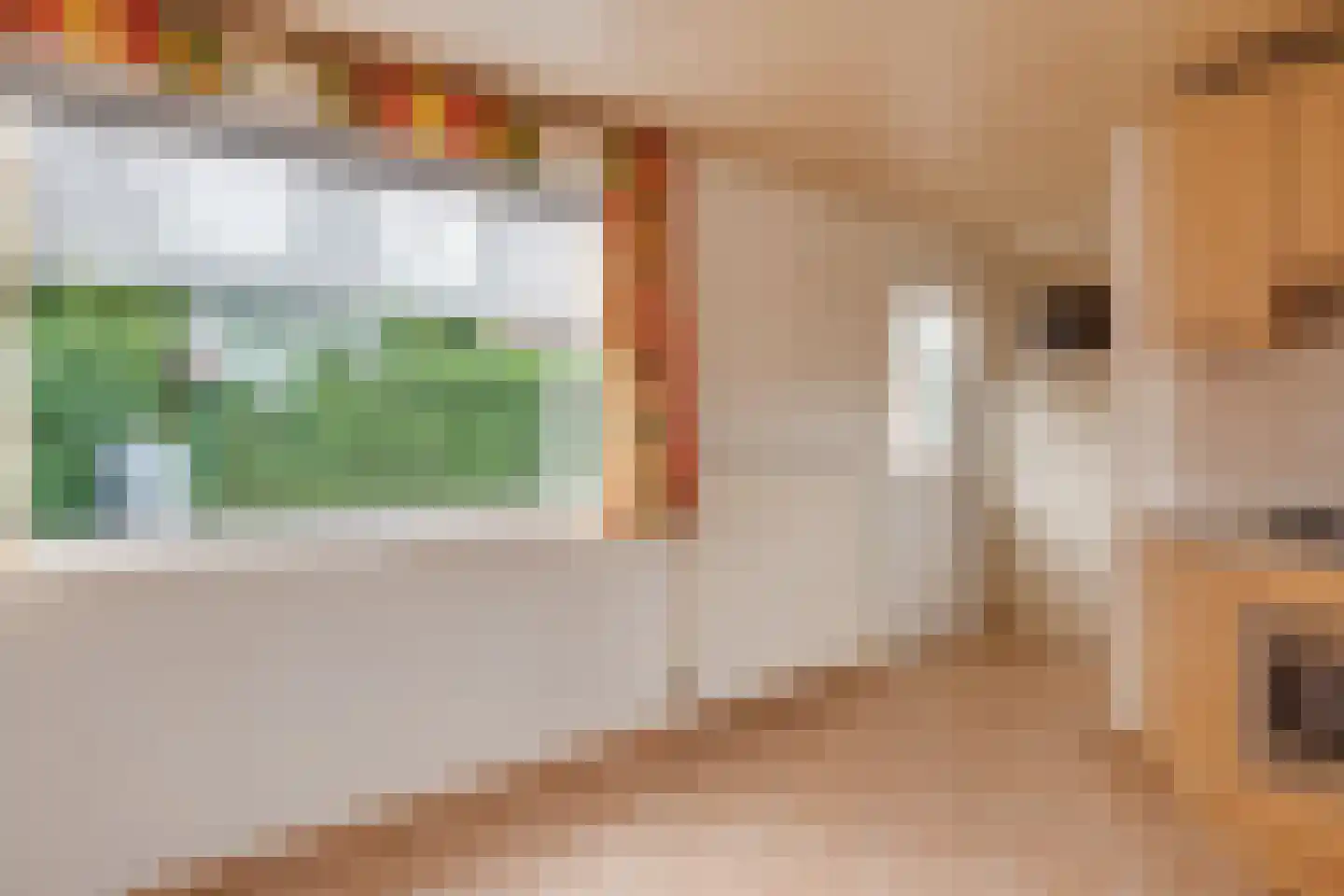 Hendrik Pannecoeckstraat 3 Hilvarenbeek thumbnail 20