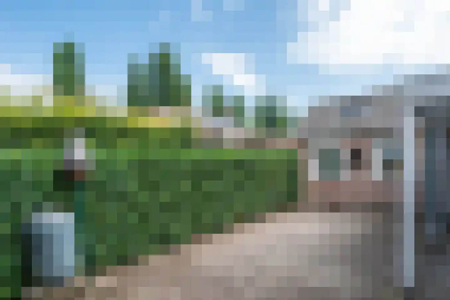 Hendrik Pannecoeckstraat 3 Hilvarenbeek thumbnail 31
