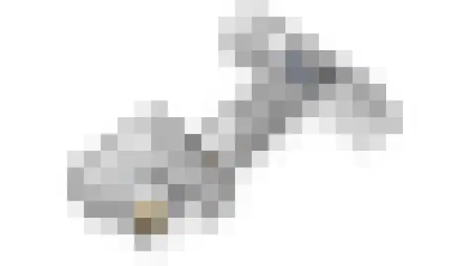 Hendrik Pannecoeckstraat 3 Hilvarenbeek thumbnail 36