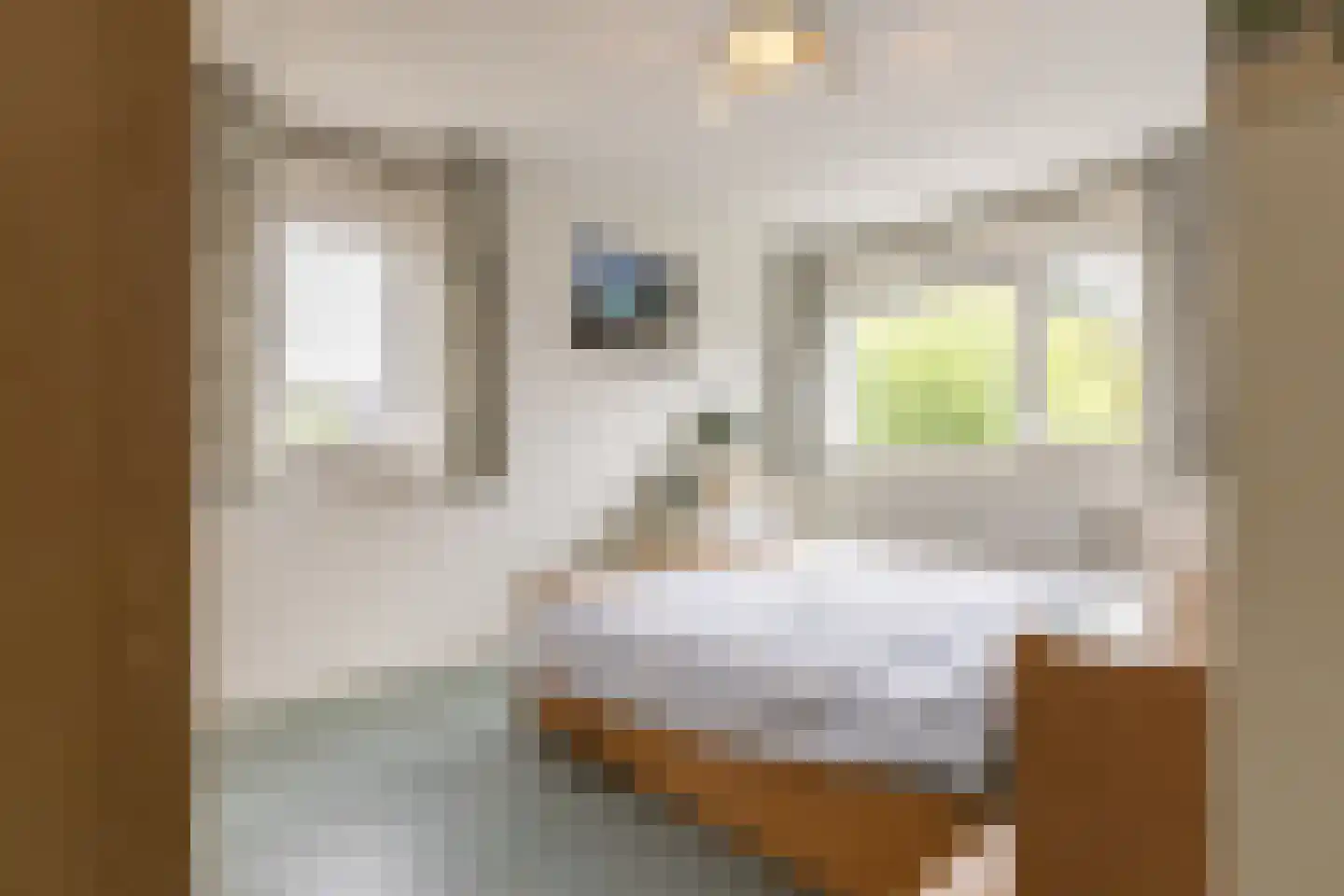 Hendrik Pieter Marchantstraat 35 Arnhem thumbnail 22