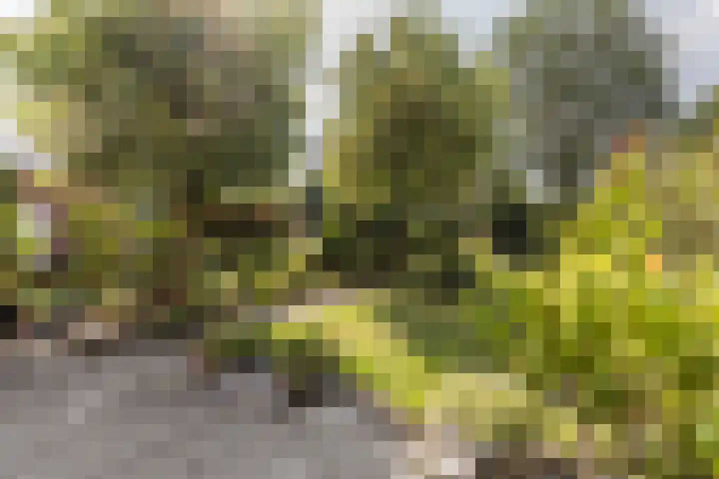 Hendrik Pieter Marchantstraat 35 Arnhem thumbnail 33