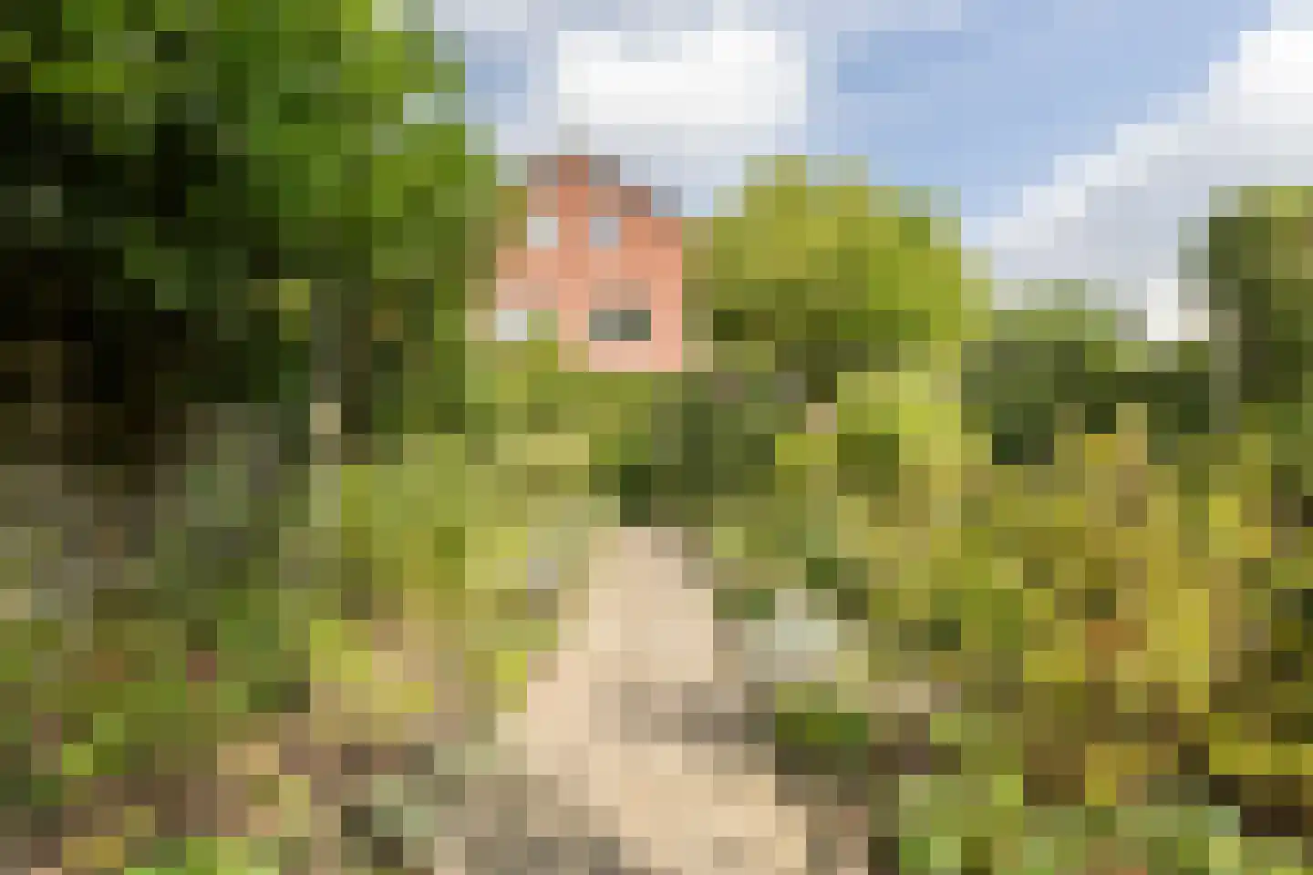 Hendrik Pieter Marchantstraat 35 Arnhem thumbnail 39