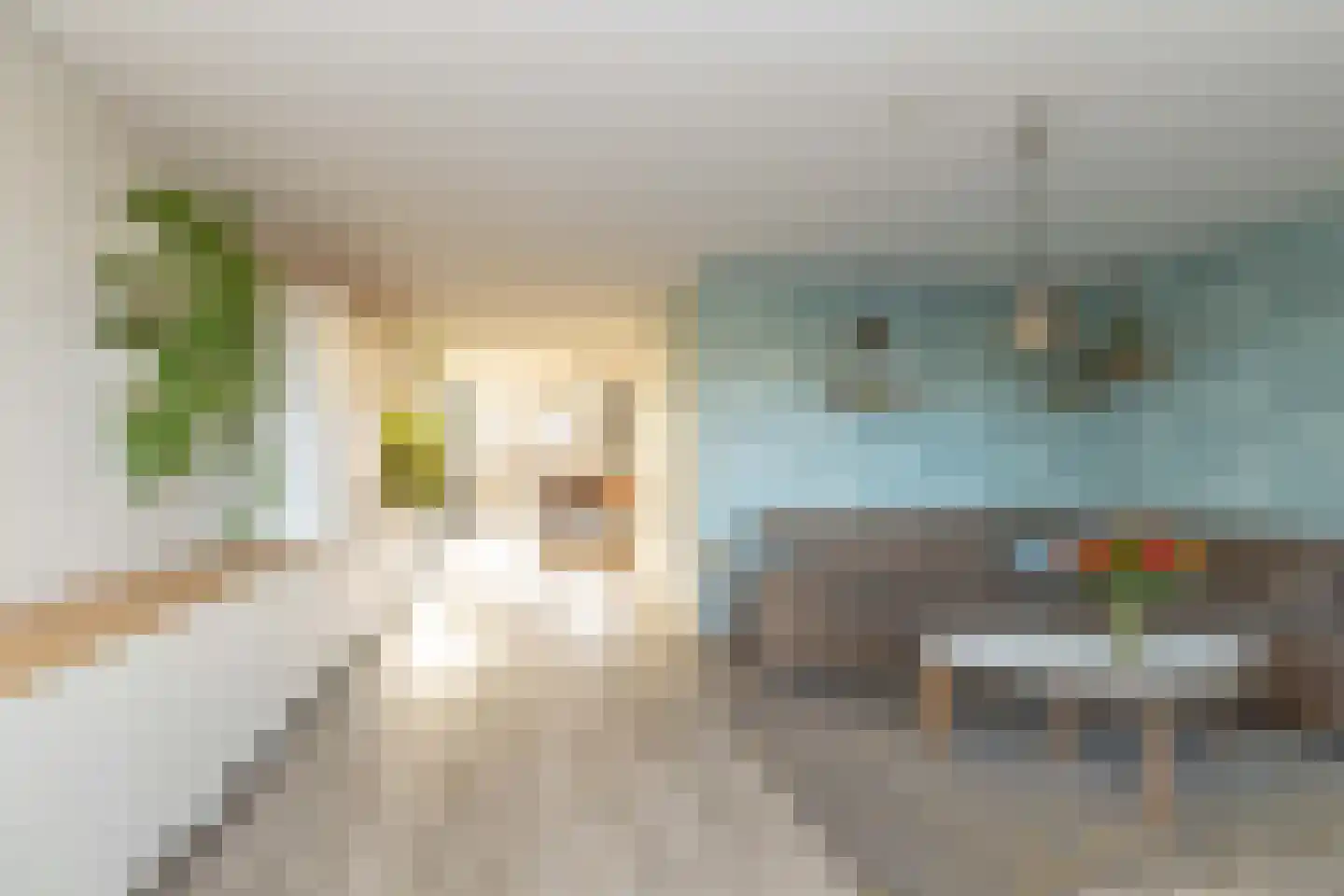 Hendrik Radijsstraat 10 Hoogeveen thumbnail 13