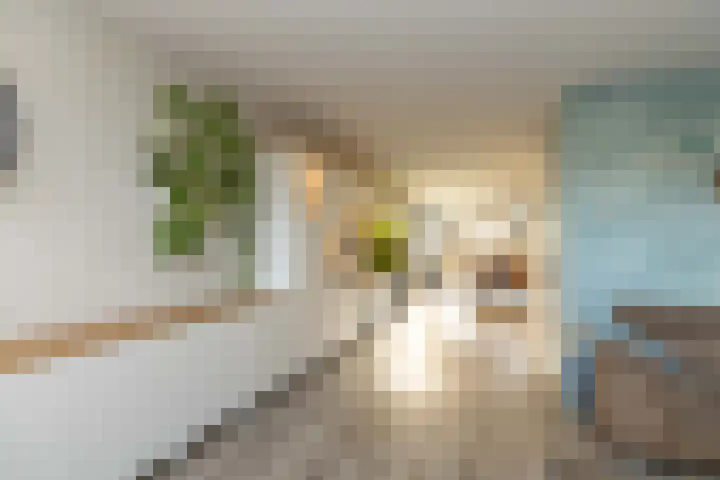 Hendrik Radijsstraat 10 Hoogeveen thumbnail 14