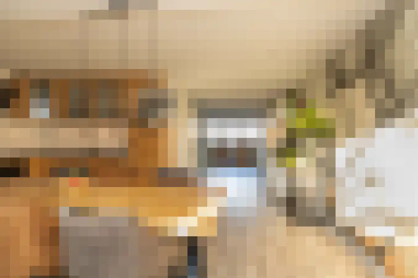 Hendrik Radijsstraat 10 Hoogeveen thumbnail 15