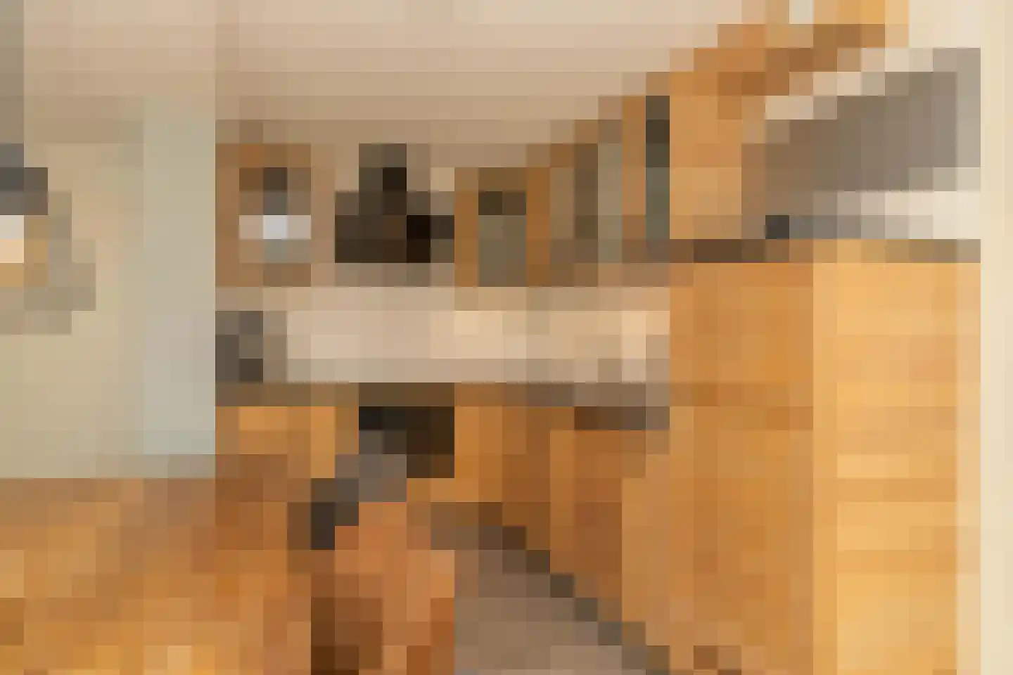 Hendrik Radijsstraat 10 Hoogeveen thumbnail 17
