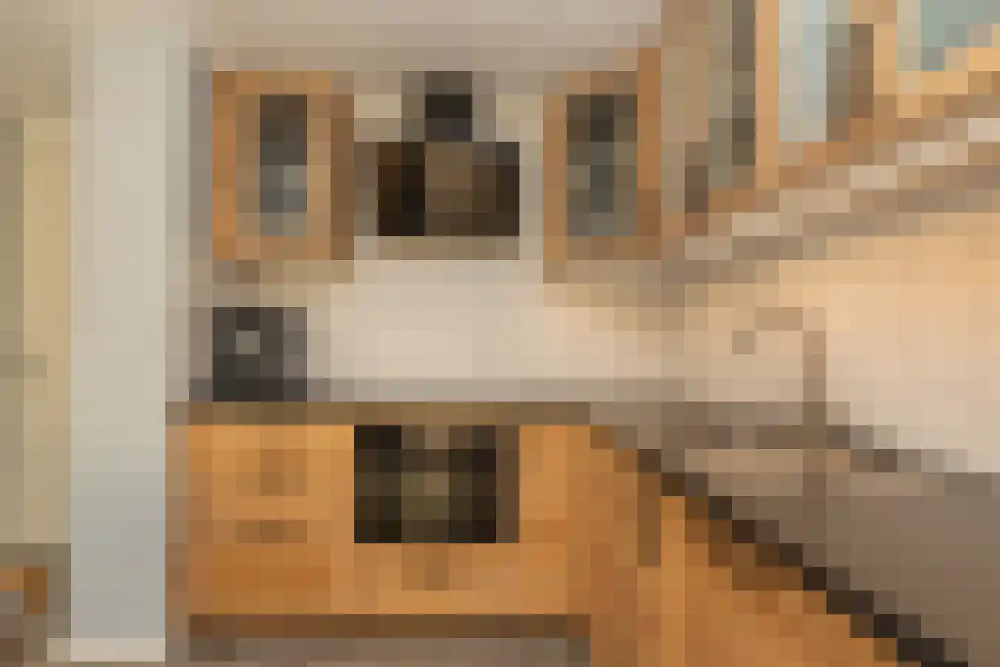Hendrik Radijsstraat 10 Hoogeveen thumbnail 18
