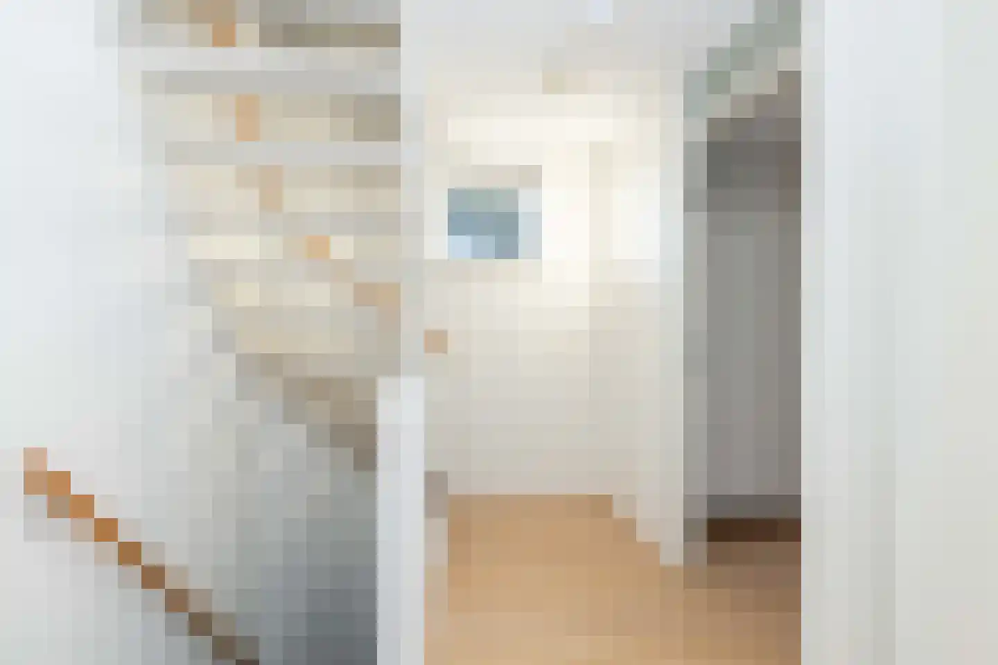 Hendrik Radijsstraat 10 Hoogeveen thumbnail 25