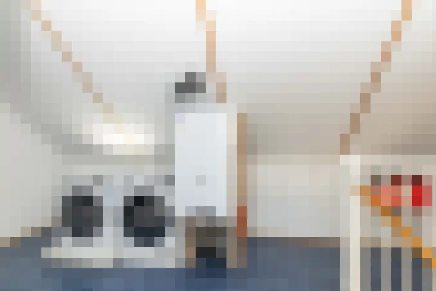 Hendrik Radijsstraat 10 Hoogeveen thumbnail 44