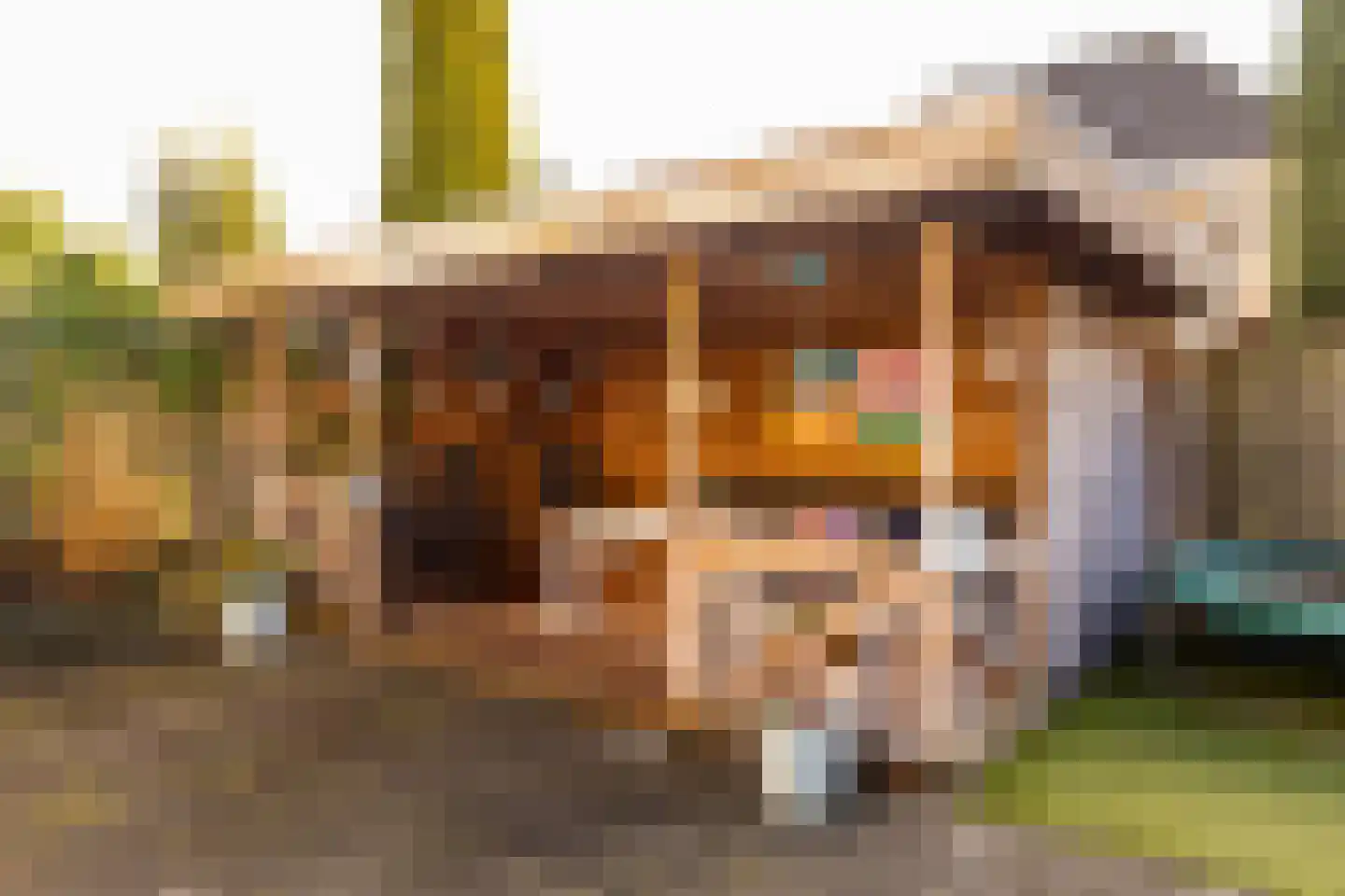 Hendrik Radijsstraat 10 Hoogeveen thumbnail 49