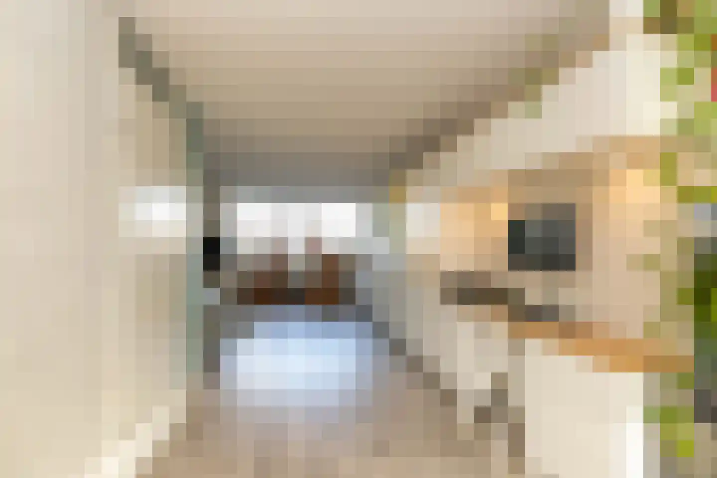 Hendrik Radijsstraat 10 Hoogeveen thumbnail 8