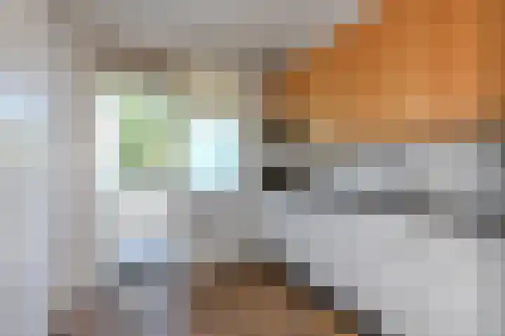 Hendrik Ravesteijnplein 15 Rijswijk thumbnail 24