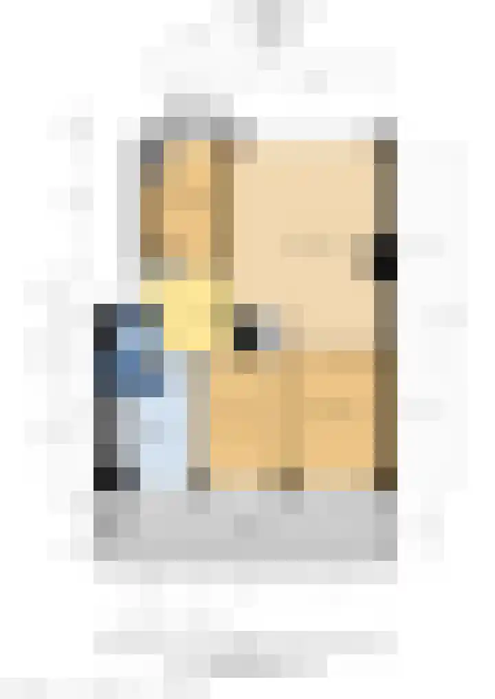 Hendrik Ravesteijnplein 15 Rijswijk thumbnail 36