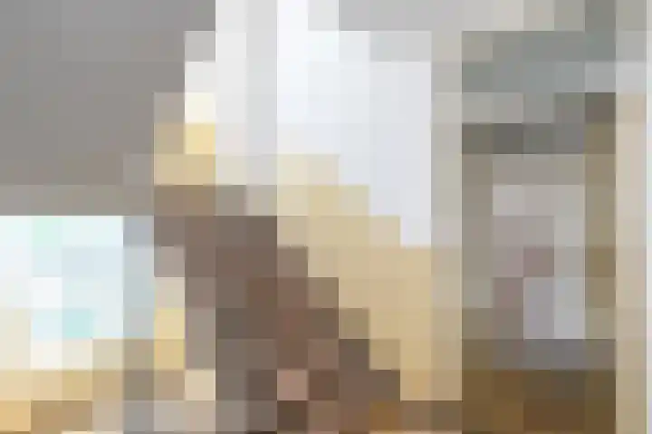 Hendrik Ravesteijnplein 15 Rijswijk thumbnail 5