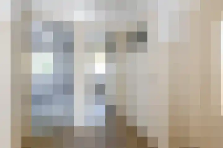 Hendrik Ravesteijnplein 15 Rijswijk thumbnail 8