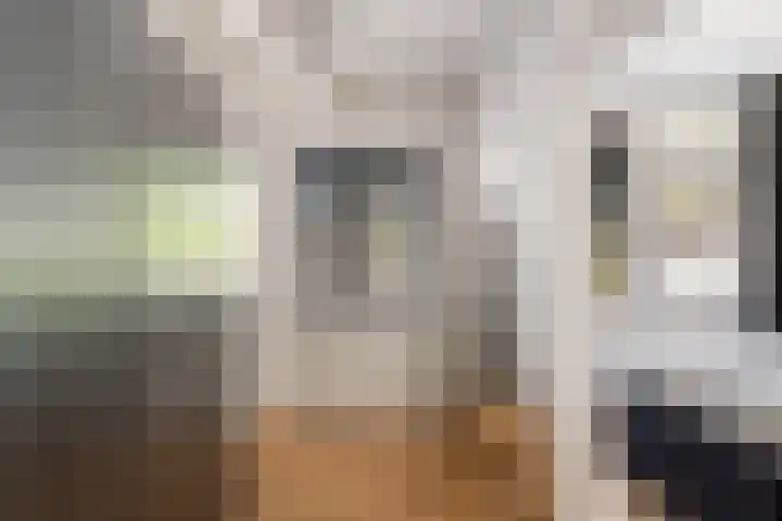 Hendrik Ravesteijnplein 26 Rijswijk thumbnail 12