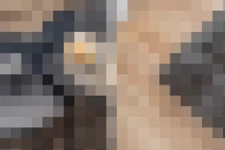 Hendrik Ravesteijnplein 26 Rijswijk thumbnail 26
