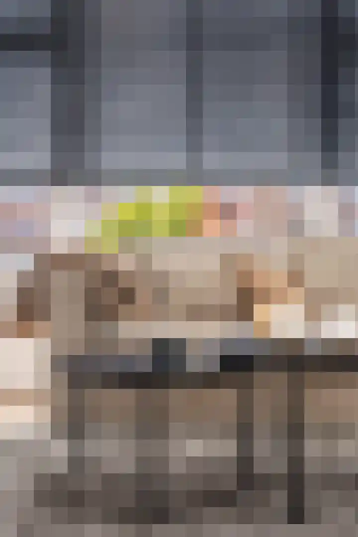 Hendrik Ravesteijnplein 26 Rijswijk thumbnail 28
