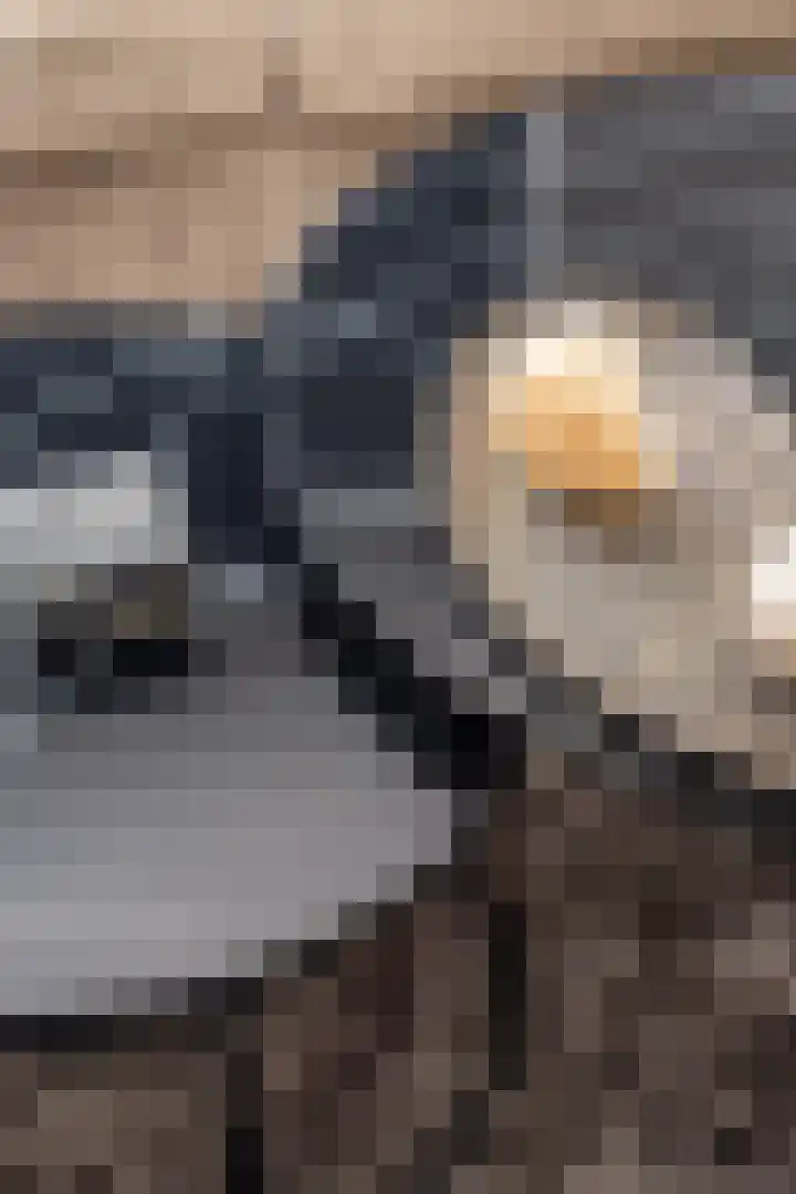 Hendrik Ravesteijnplein 26 Rijswijk thumbnail 39