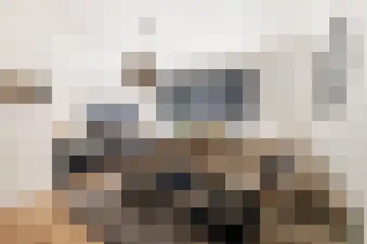 Hendrik Ravesteijnplein 26 Rijswijk thumbnail 4