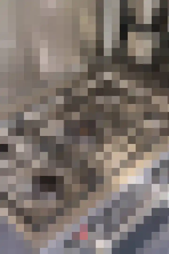 Hendrik Ravesteijnplein 26 Rijswijk thumbnail 42