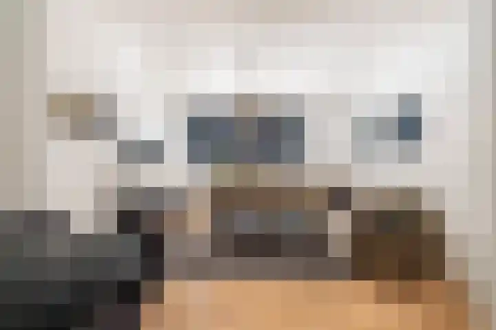 Hendrik Ravesteijnplein 26 Rijswijk thumbnail 49