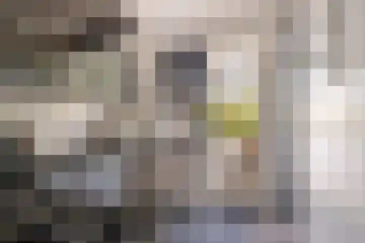 Hendrik Ravesteijnplein 26 Rijswijk thumbnail 6