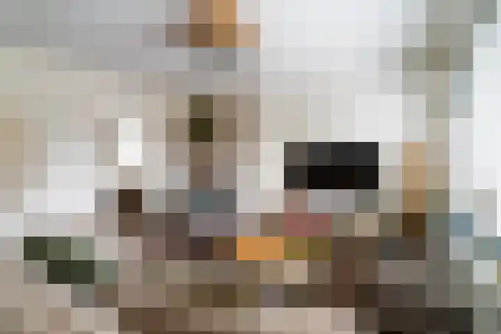 Hendrik Ravesteijnplein 27 Rijswijk thumbnail 6