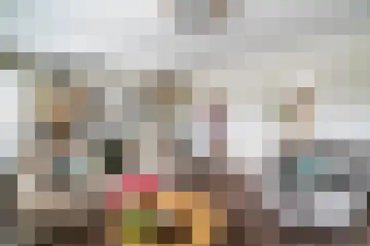 Hendrik Ravesteijnplein 27 Rijswijk thumbnail 8