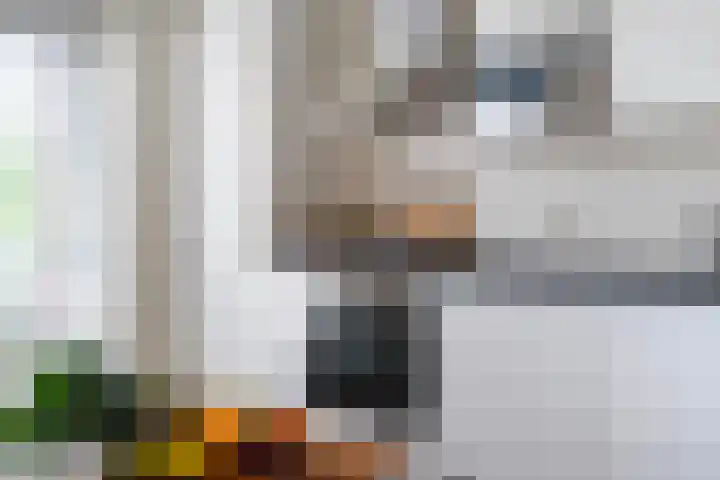 Hendrik Ravesteijnplein 27 Rijswijk thumbnail 9