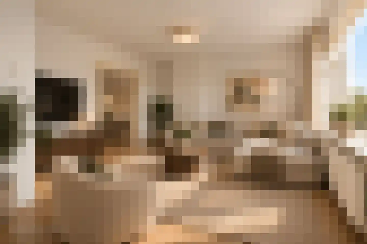 Hendrik Ravesteijnplein 28 Rijswijk thumbnail 10
