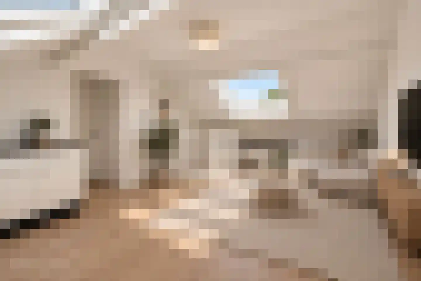 Hendrik Ravesteijnplein 28 Rijswijk thumbnail 29