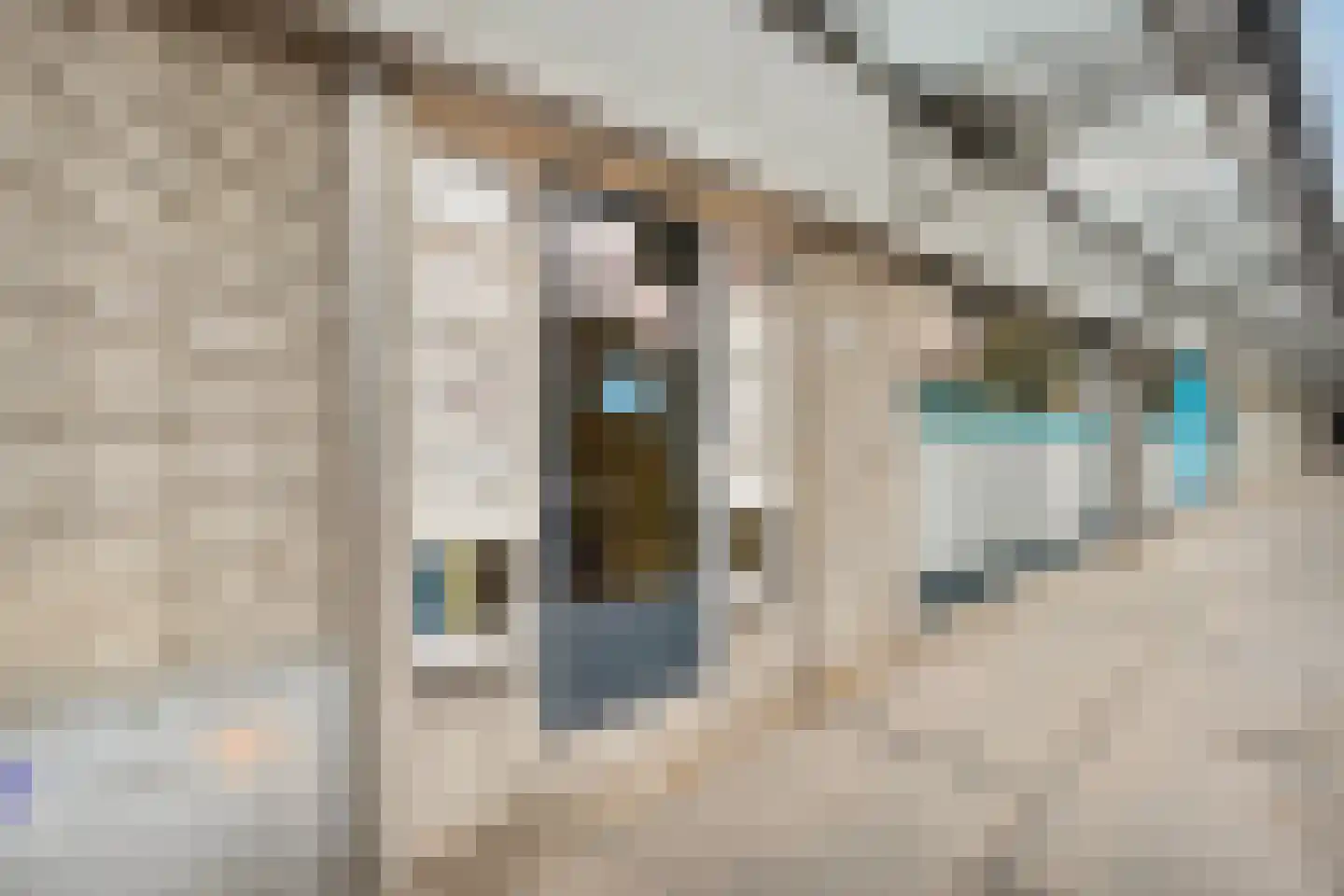 Hendrik Ravesteijnplein 28 Rijswijk thumbnail 39