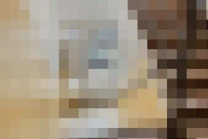 Hendrik Ravesteijnplein 30 Rijswijk thumbnail 7