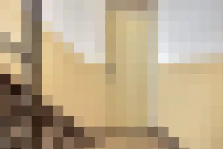Hendrik Ravesteijnplein 30 Rijswijk thumbnail 8