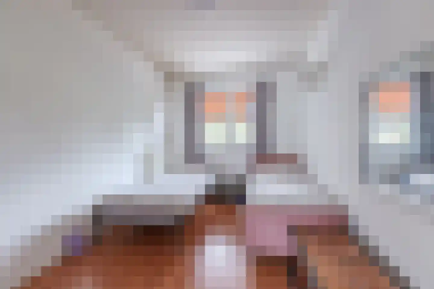 Hendrik Ravesteijnplein 34 Rijswijk thumbnail 26