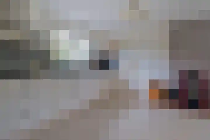 Hendrik Reindersweg 28 55 Pesse thumbnail 11