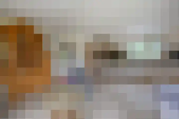 Hendrik Reindersweg 28 55 Pesse thumbnail 17