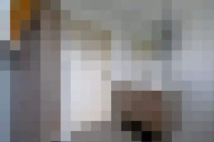 Hendrik Reindersweg 28 55 Pesse thumbnail 28
