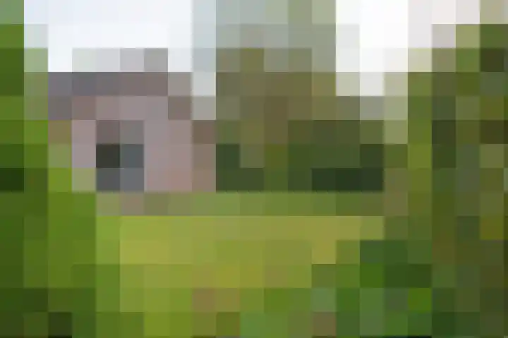 Hendrik Reindersweg 28 55 Pesse thumbnail 35