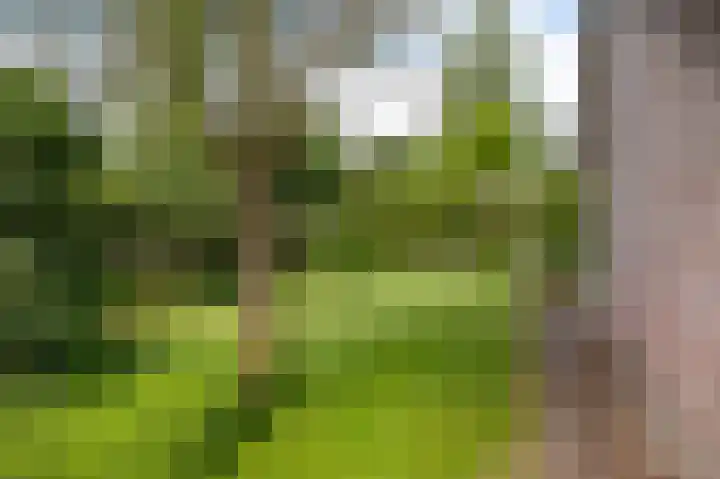 Hendrik Reindersweg 28 55 Pesse thumbnail 36