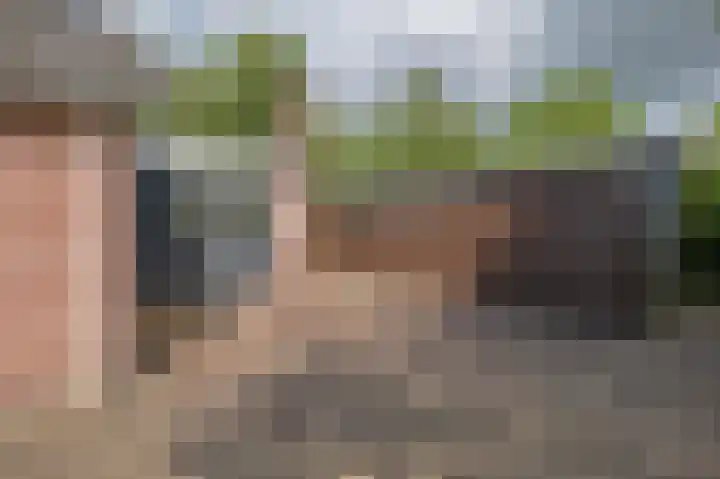 Hendrik Reindersweg 28 55 Pesse thumbnail 37