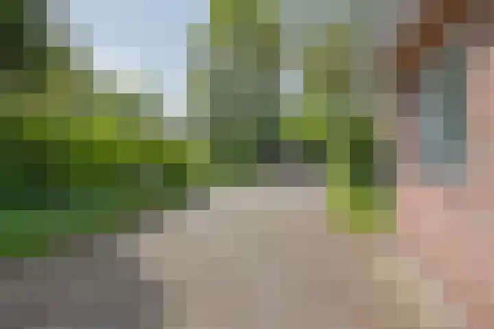 Hendrik Reindersweg 28 55 Pesse thumbnail 38