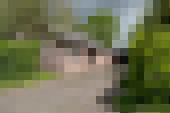 Hendrik Reindersweg 28 55 Pesse thumbnail 5
